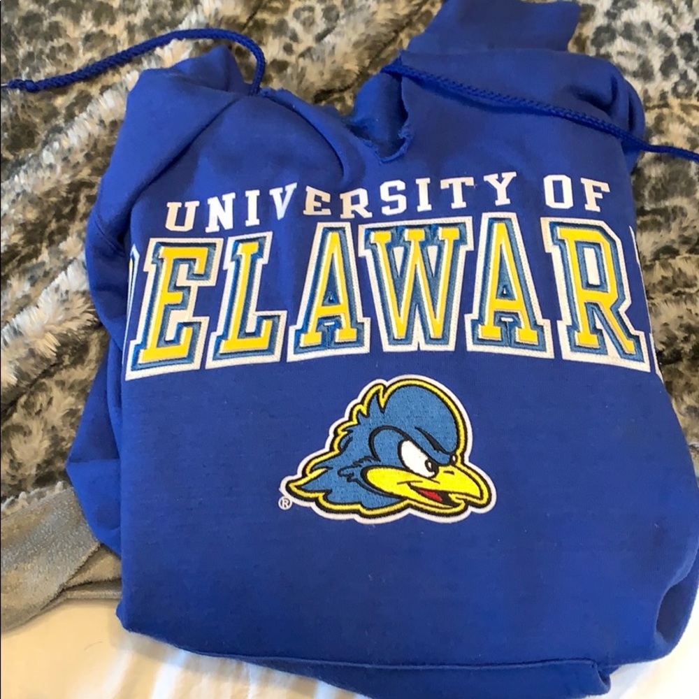University of Delaware hoodie